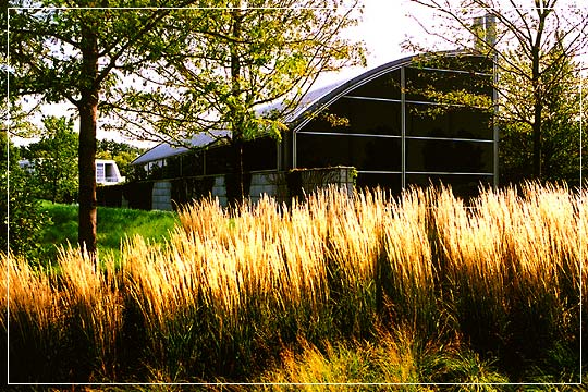 CLICK FOR NEXT SLIDE