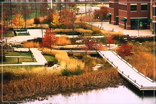 CLICK FOR NEXT SLIDE