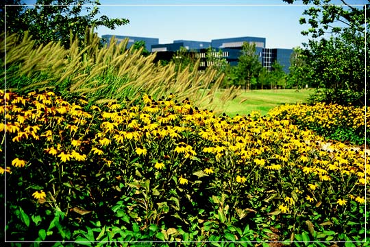 CLICK FOR NEXT SLIDE